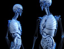 Britai ieško inovatyvių patologinės anatomijos produktų