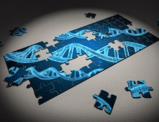 Korėjiečiai ieško partnerių iš baltymų inžinerijos srities