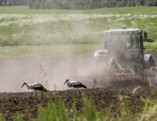 Žemės ūkis neišvengiamai turės prisidėti prie gamtos išsaugojimo