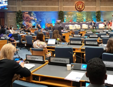 Jungtinių Tautų aplinkos asamblėjoje – žinia ir apie Lietuvos laimėjimus